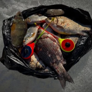 Улов рыбаков.