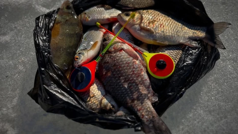 Улов рыбаков.