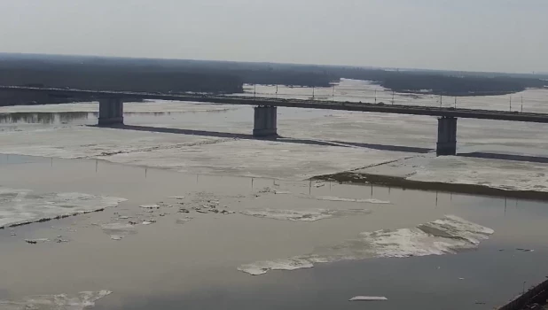 Обь в Барнауле.