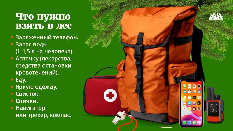 Инфографика: что нужно взять в лес