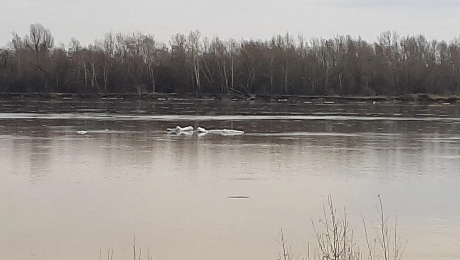 Лед. Ледоход. Льдины. Обь
