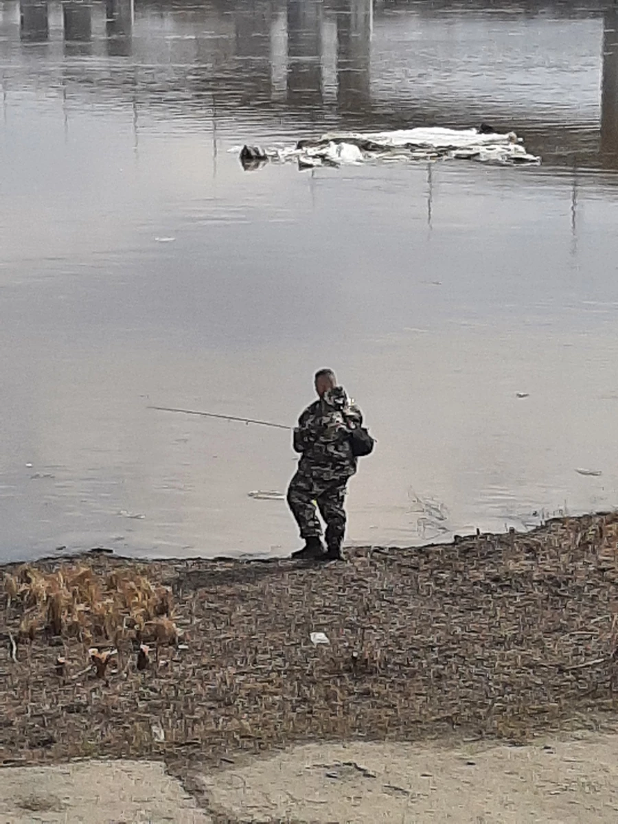 Лед. Ледоход. Льдины. Обь