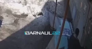 В Барнауле обрушилась бетонная опора козырька у подъезда