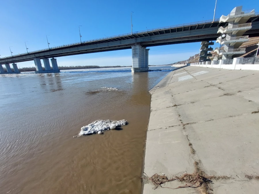 Берег Оби во время ледохода.