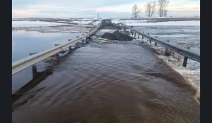 Паводок в Новосибирской области.