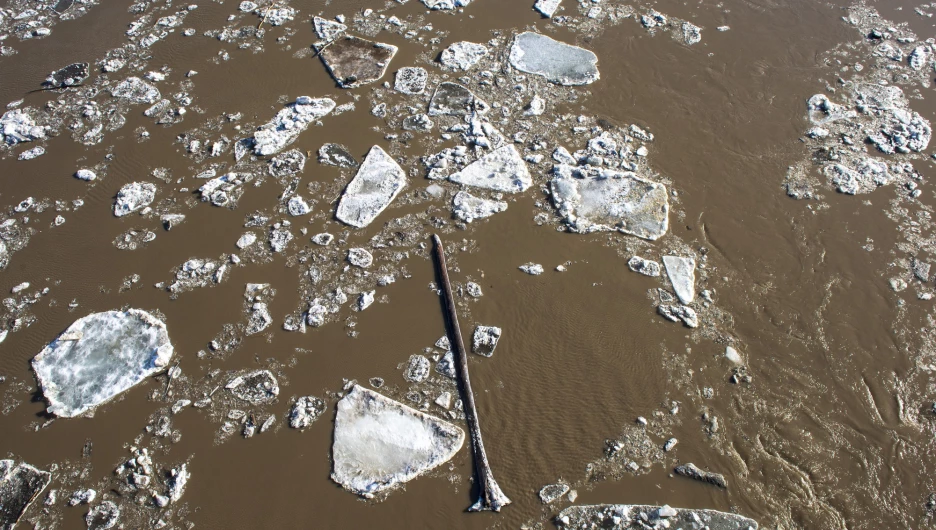 Ледоход в Барнауле, 9 апреля 2026. 