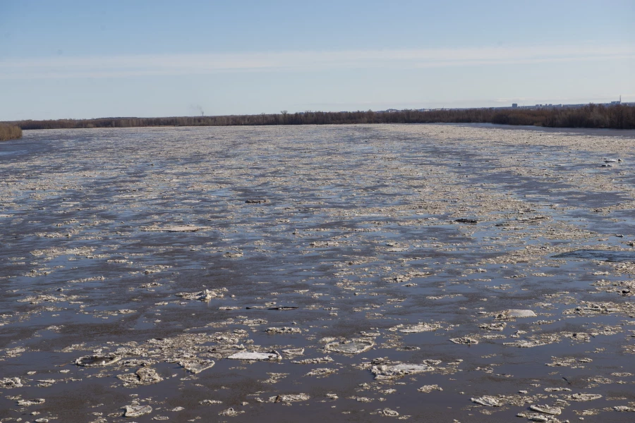 Ледоход в Барнауле, 9 апреля 2026. 
