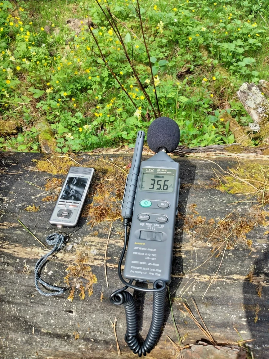 Прослушивание птичьего пения на Яйлинской террасе.