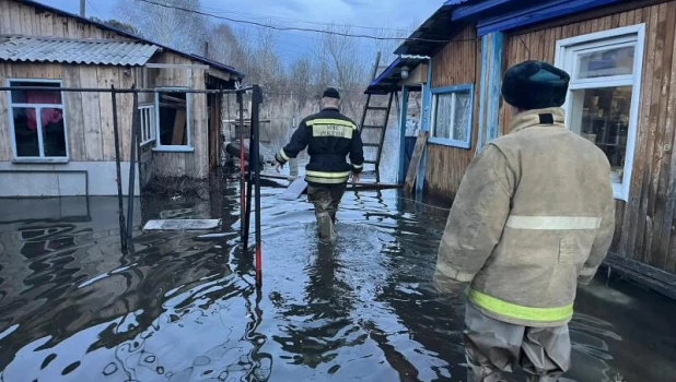 Паводок в Алтайском крае.
