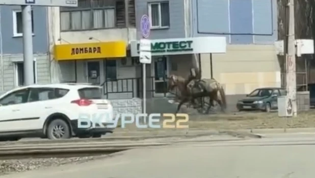 Человек скачет на коне в Барнауле.