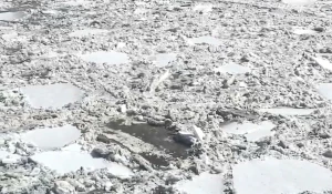 Паводок на Чумыше.