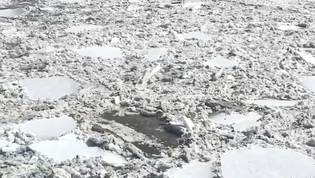 Паводок на Чумыше.