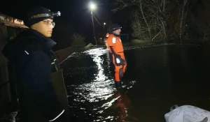 Паводок, Хабары.