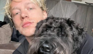 Отравление собаки стримера.