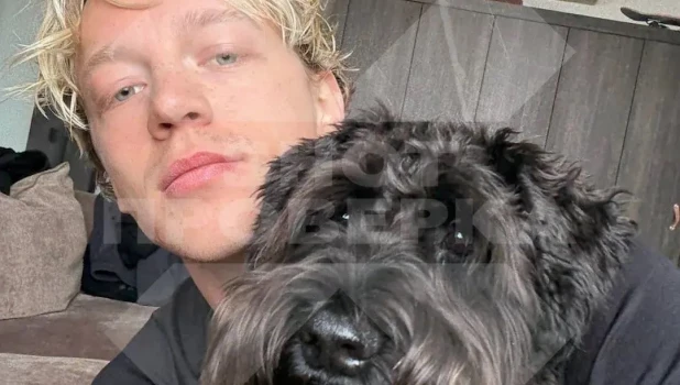 Отравление собаки стримера.