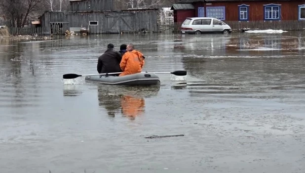 Паводок в Алтайском крае.