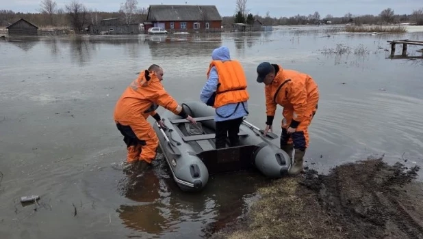 Паводок в Алтайском крае.