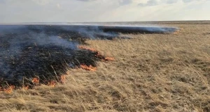 Возгорание сухой травы.