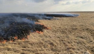 Возгорание сухой травы.