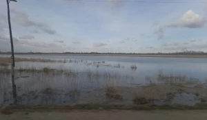 Паводок. Поля. 