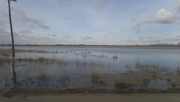 Паводок. Поля. 