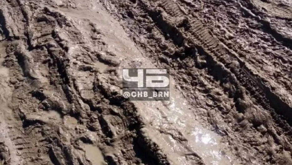 Жители алтайского села скинулись на дорогу, а получили полосу препятствий