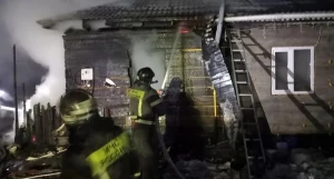 Пожар в Березовке.