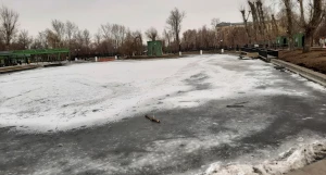 Пруд в парке «Изумрудный».