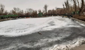 Пруд в парке «Изумрудный».