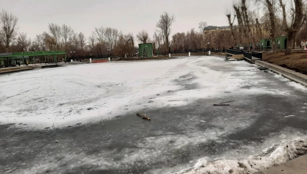 Пруд в парке «Изумрудный».
