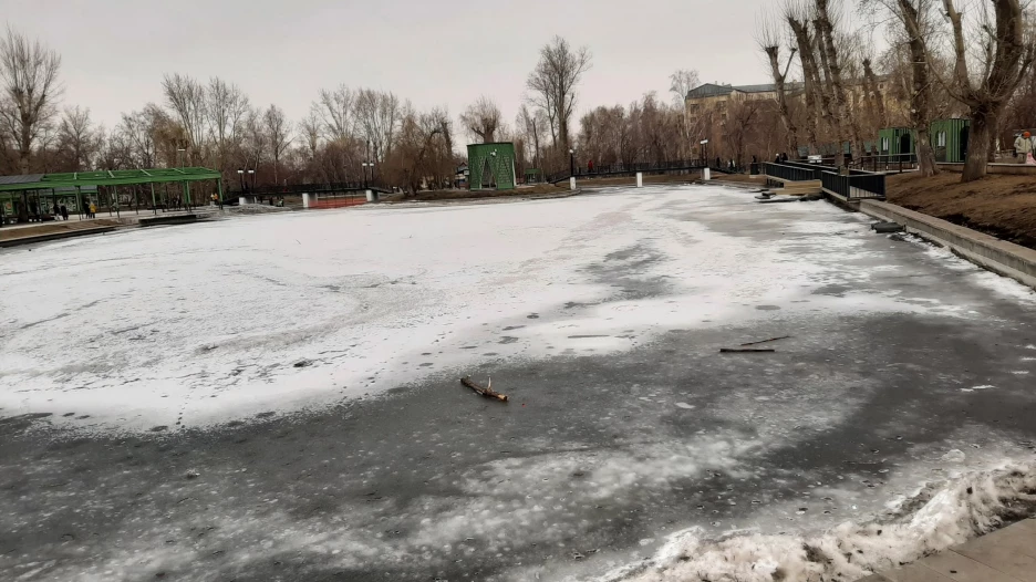 Пруд в парке «Изумрудный».
