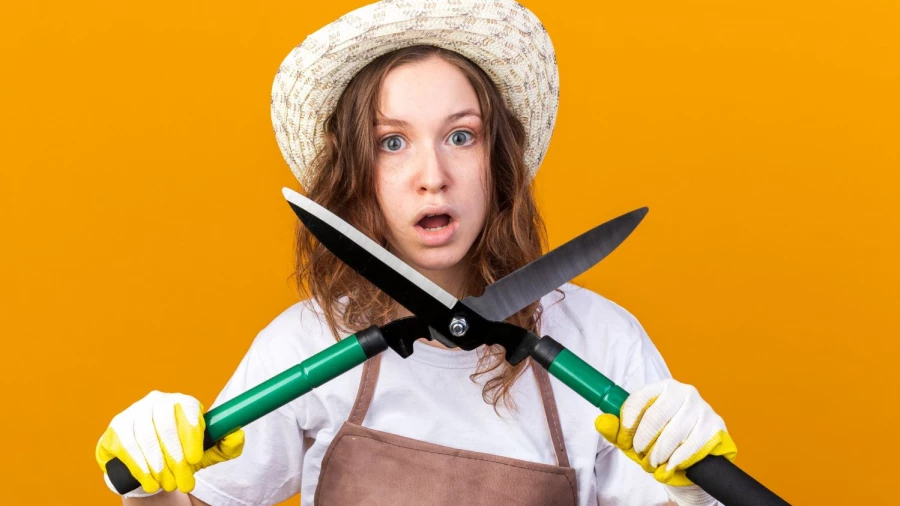 Обрезка кустов.