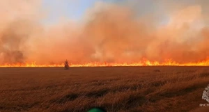Пожары в Алтайском крае.