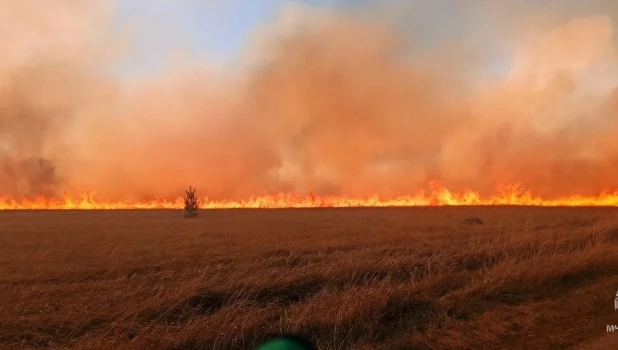 Пожары в Алтайском крае.
