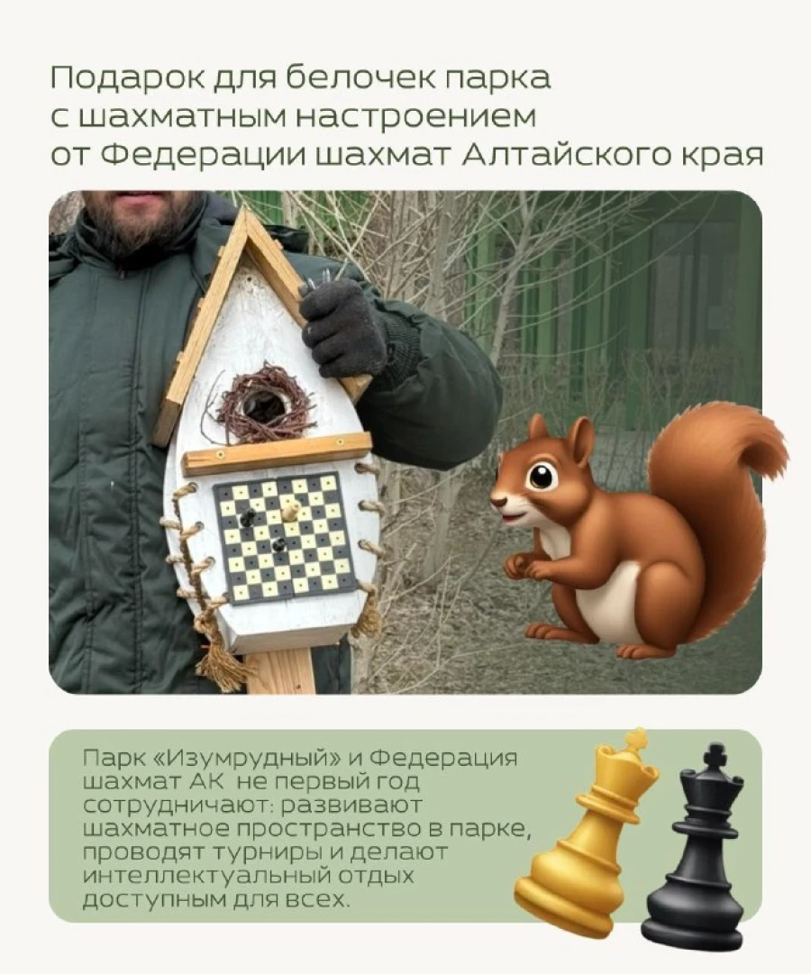 Подарок для парка с шахматным настроением.