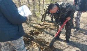 Борьба с лесными вредителями в Алтайском крае.