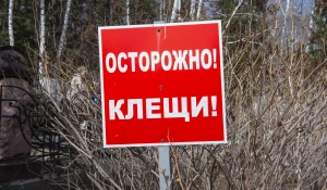 Осторожно, клещи! 