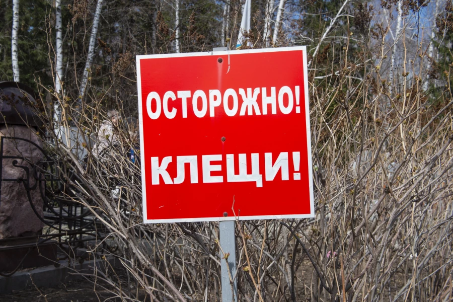 Осторожно, клещи! 