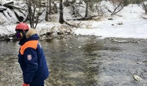 Поиски Усольцевых в сибирской тайге. 