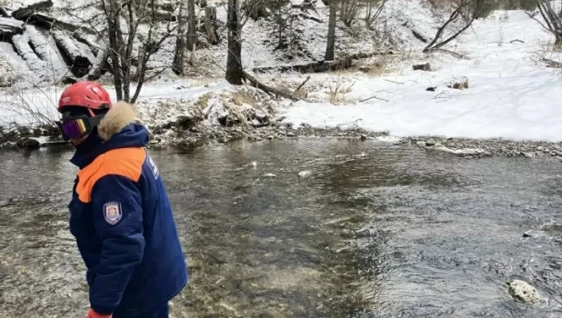 Поиски Усольцевых в сибирской тайге. 