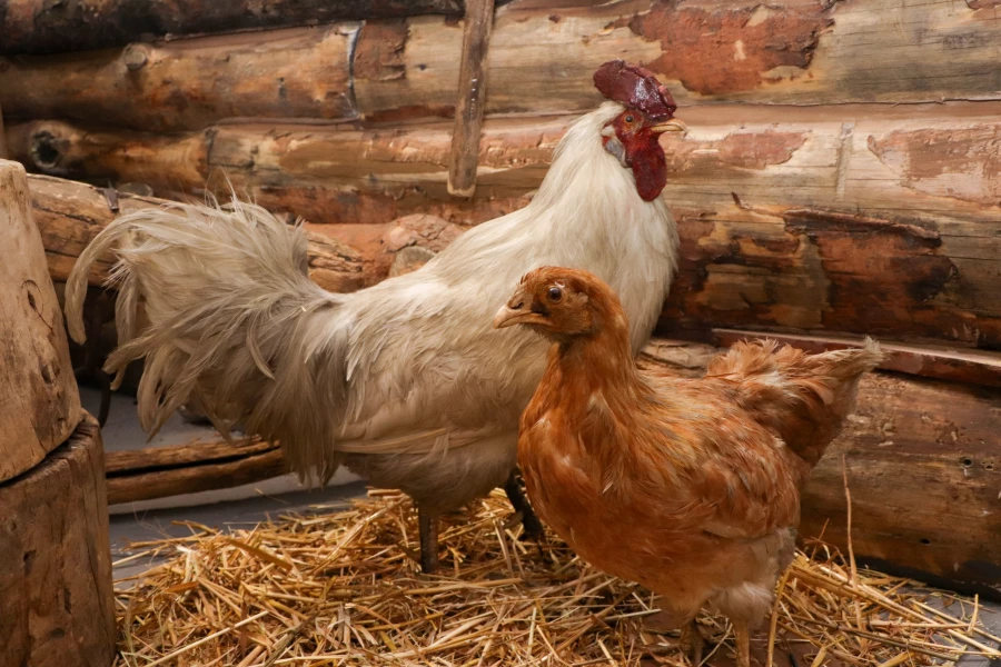 Выставка «Алтай – обретенный дом» 