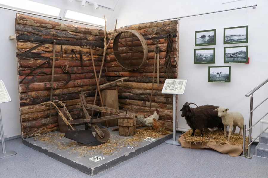 Выставка «Алтай – обретенный дом» 