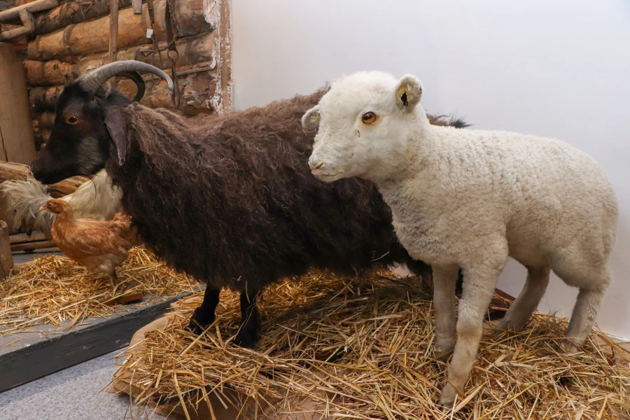 Выставка «Алтай – обретенный дом» 