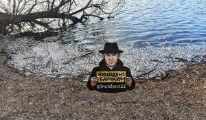 Массовая гибель рыбы в Завьялово. 