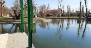 Пруд в парке «Изумрудный» в апреле, 2026 год.