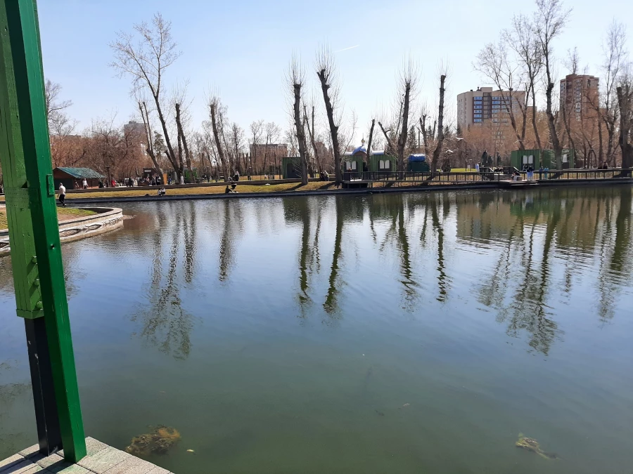 Пруд в парке «Изумрудный» в апреле, 2026 год.