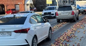 Дорога из яблок в Барнауле.