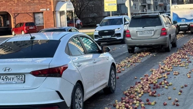 Дорога из яблок в Барнауле.