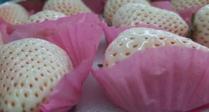 Ягоды и фрукты.