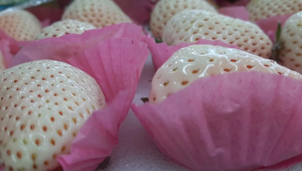 Ягоды и фрукты.